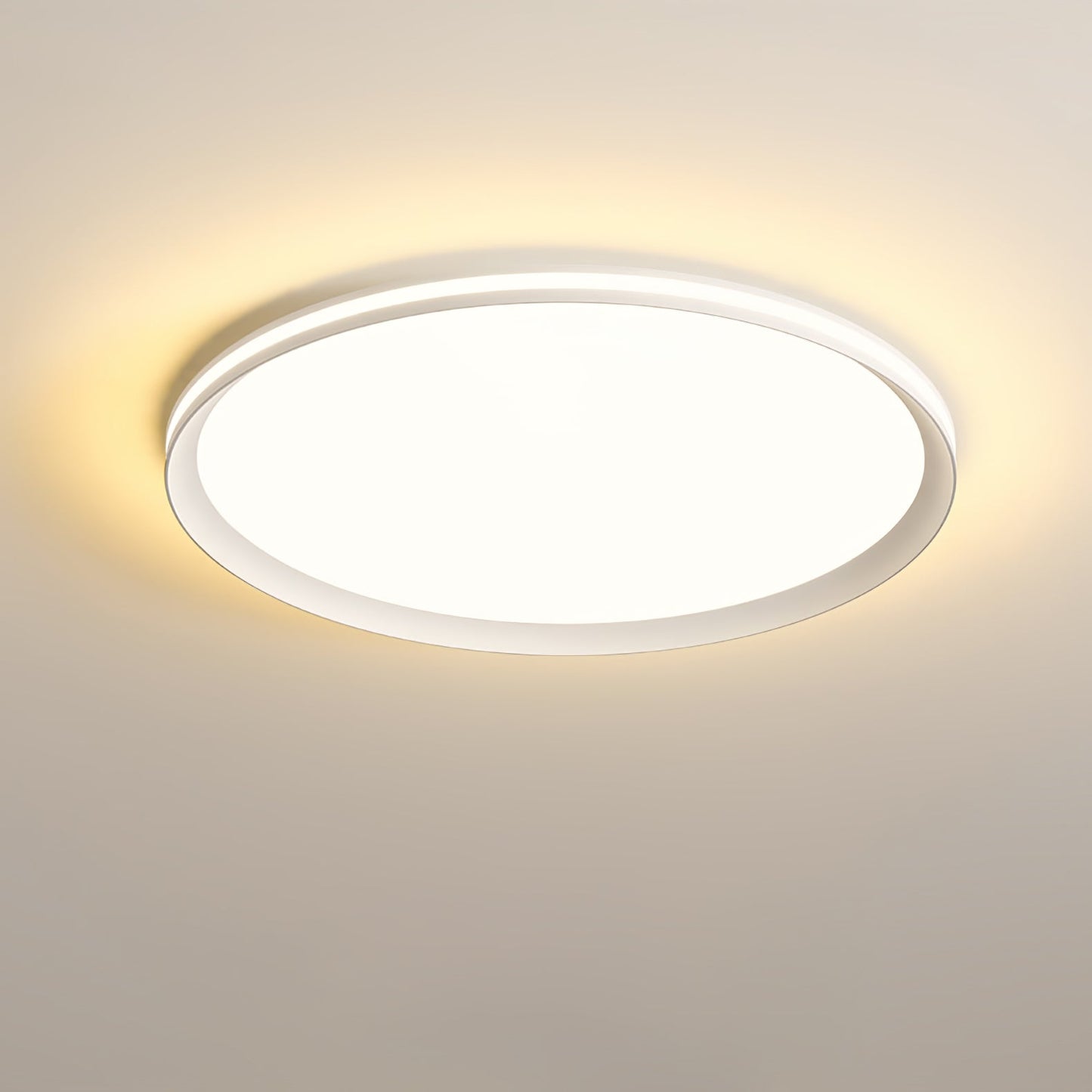 Acrylic Circular LED Modern Metal Ceiling Light