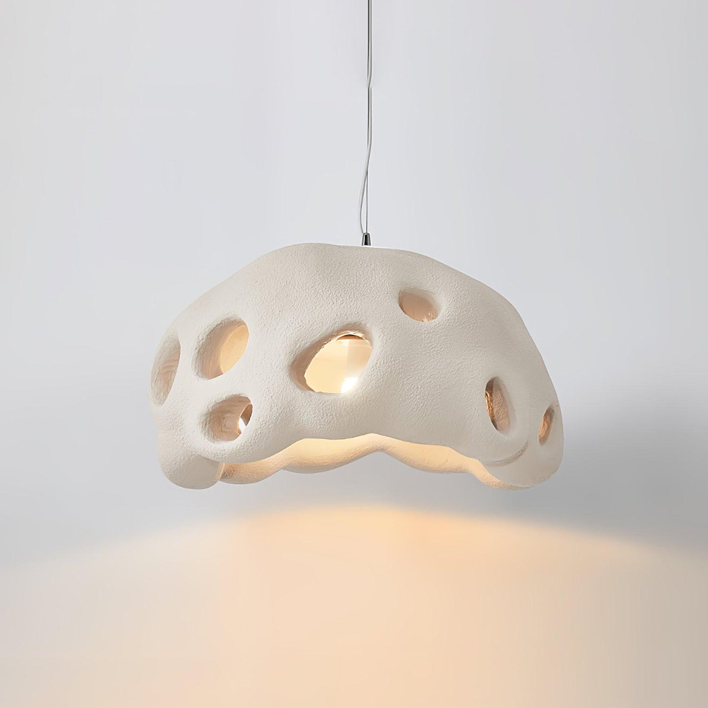 Ant Nest Minimalist Metal Pendant Lamp