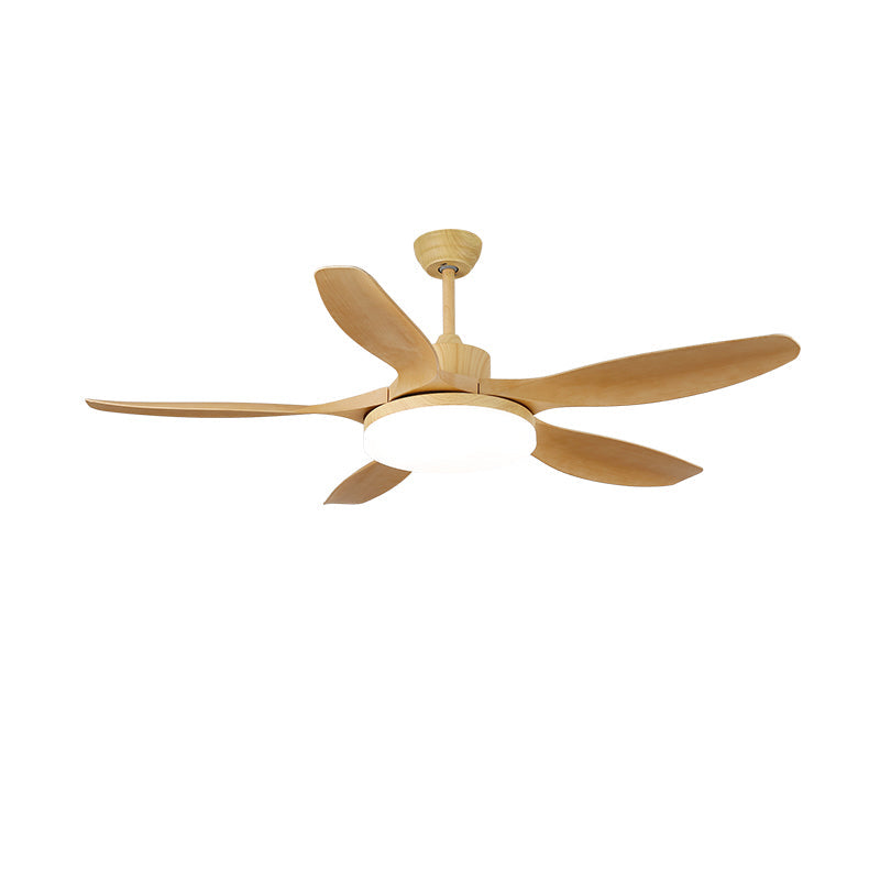 Keltis 4852 Modern Metal Ceiling Fan Light