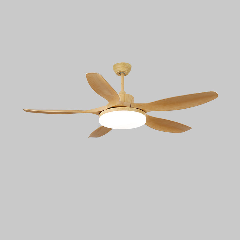 Keltis 4852 Modern Metal Ceiling Fan Light