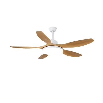 Keltis 4852 Modern Metal Ceiling Fan Light