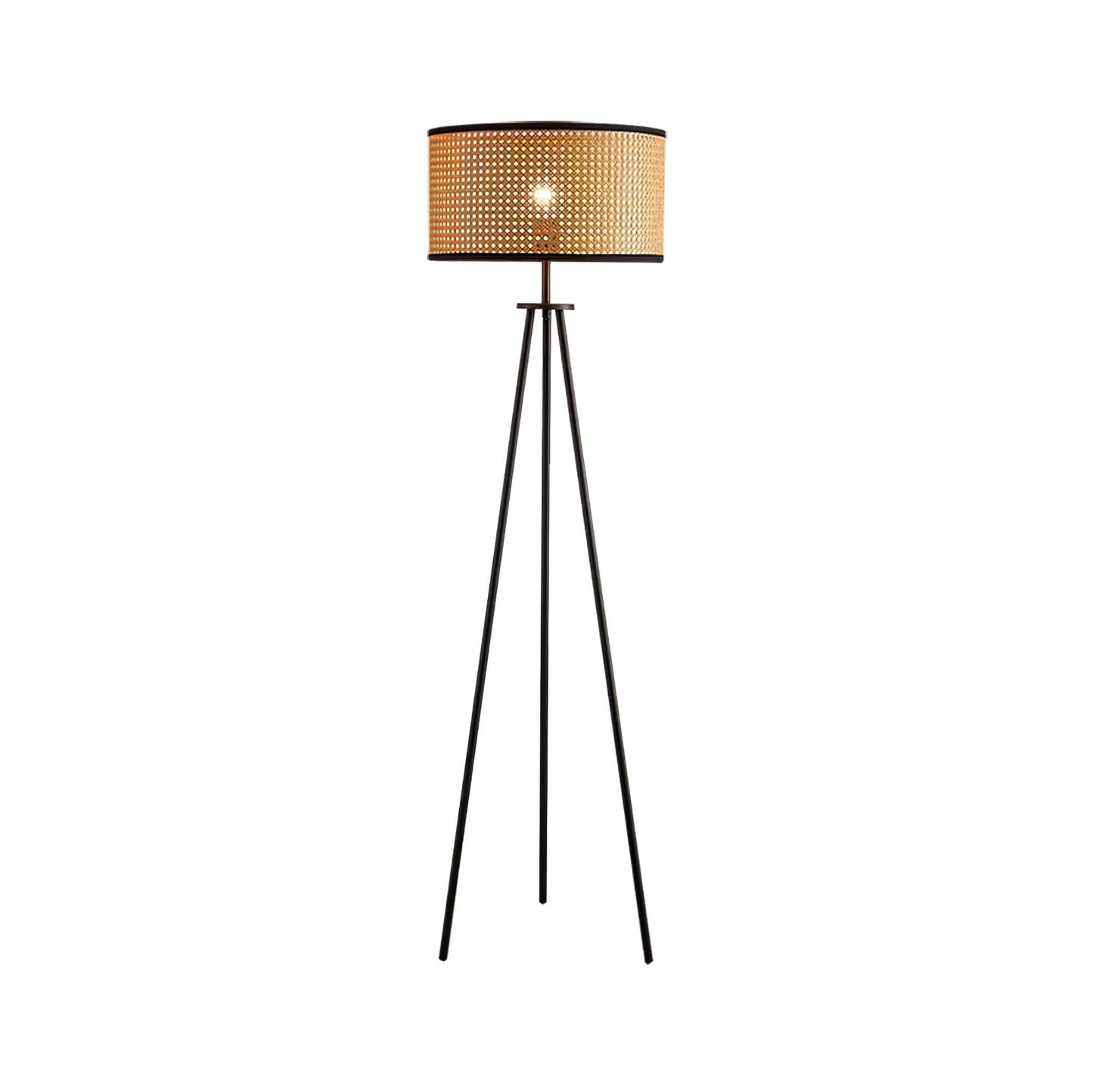 Aubrey Modern Metal Floor Lamp