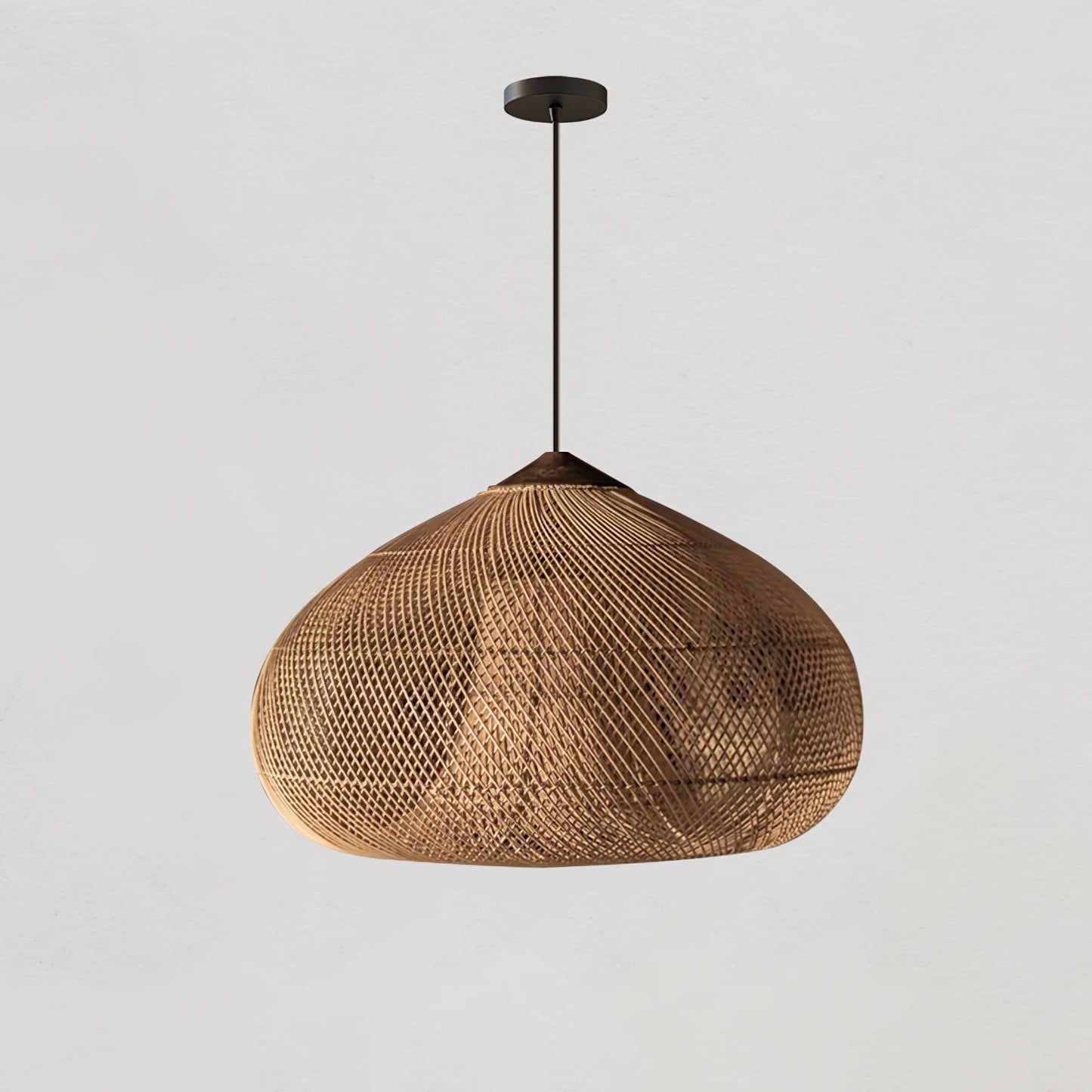 Braided Rattan Eclectic Metal Pendant Lamp