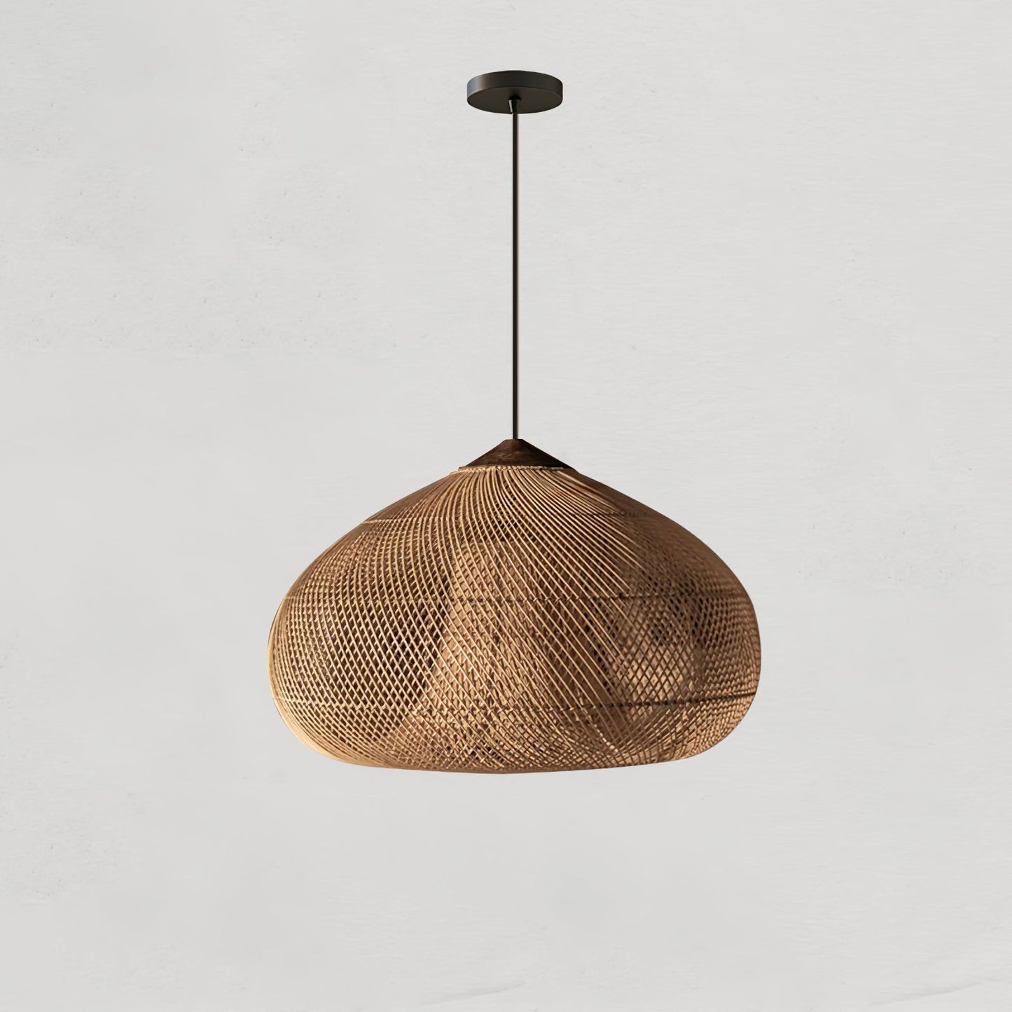 Braided Rattan Eclectic Metal Pendant Lamp