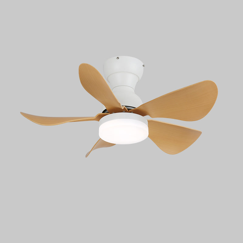 Small Arilia 29 Modern Metal Ceiling Fan Light