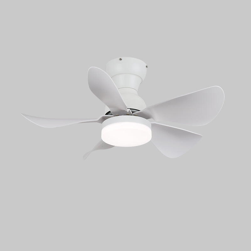 Small Arilia 29 Modern Metal Ceiling Fan Light