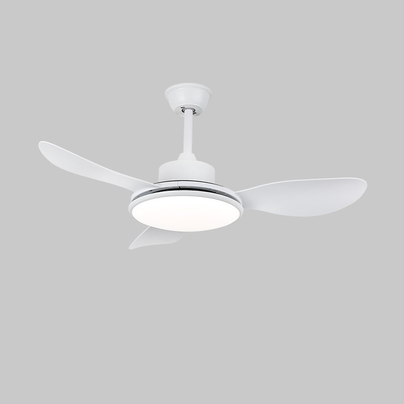 Brinley 4852 Eclectic Metal Ceiling Fan Light