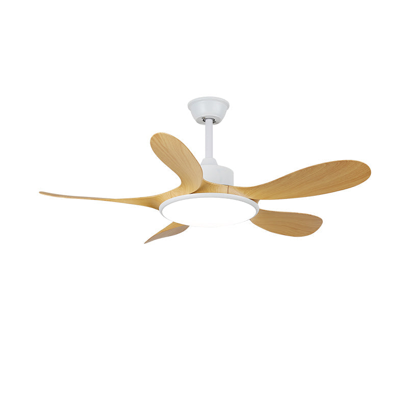 Brinley 4852 Eclectic Metal Ceiling Fan Light