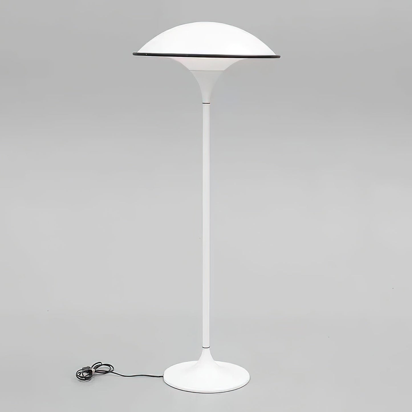 Fontana Minimalist Metal Floor Lamp