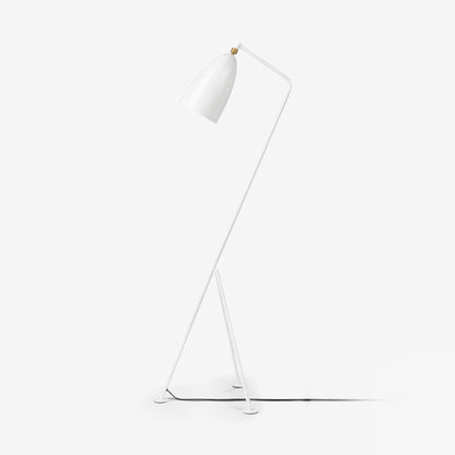 Grasshopper Minimalist Metal Floor Lamp