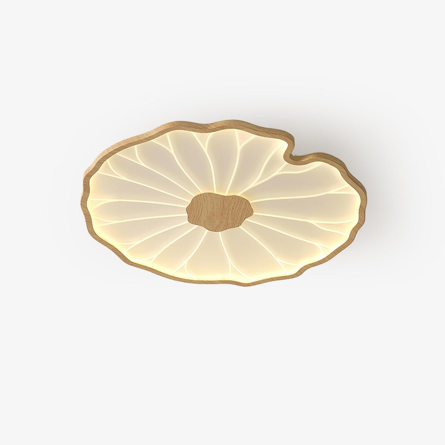 Lotus Leaf Acrylic Rustic Metal Ceiling Lamp