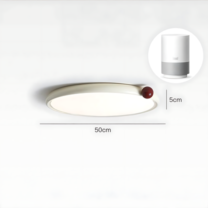 Nordic Minimalist Thin Ceiling Lamp