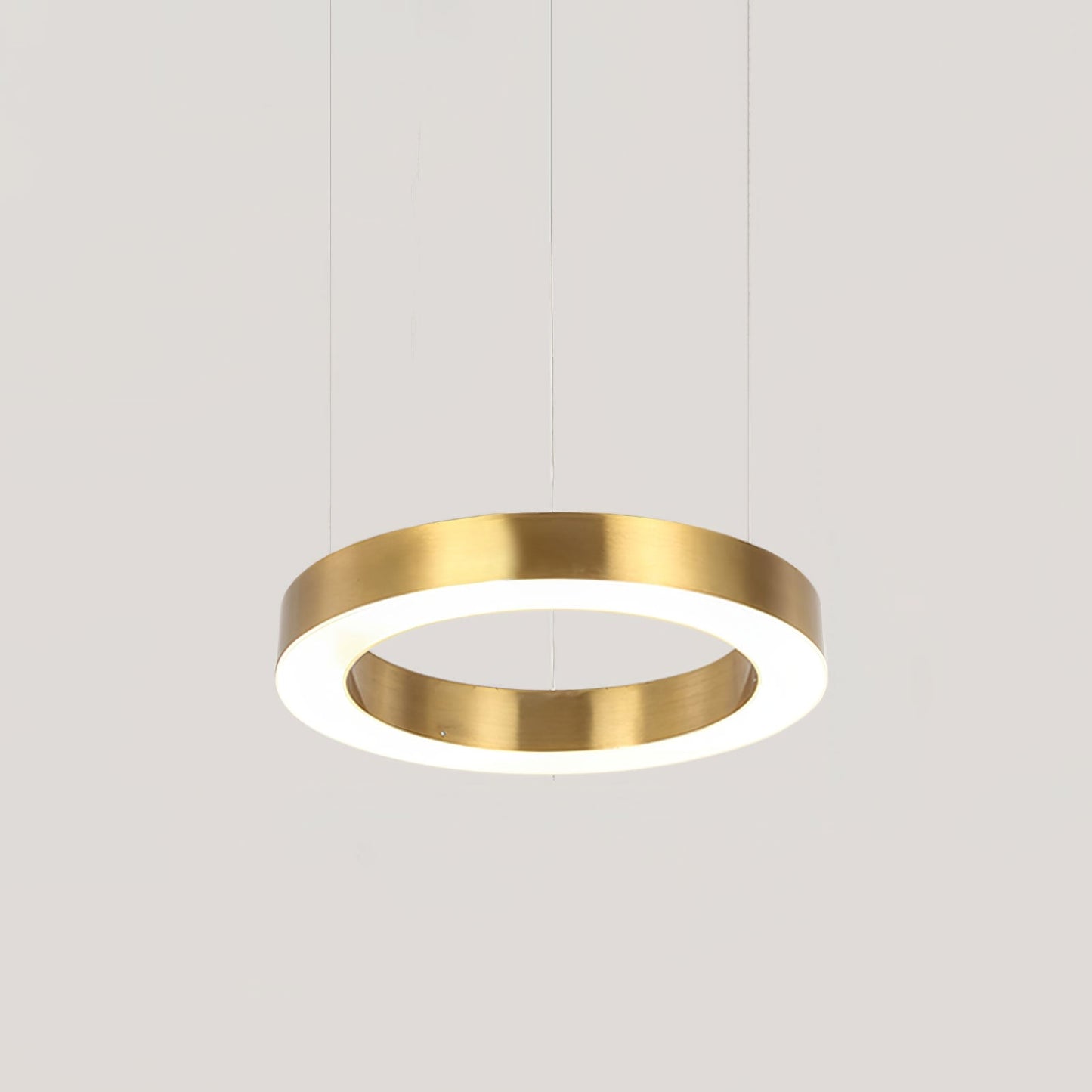 Ring LED Eclectic Metal Pendant Light