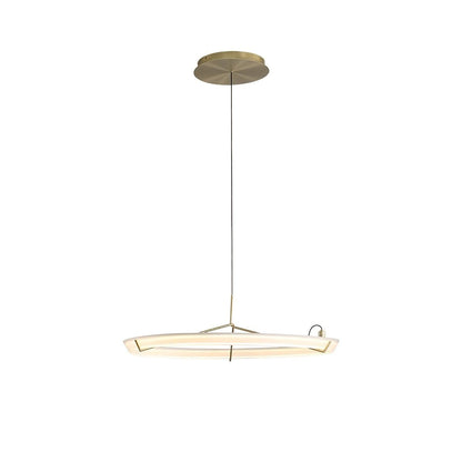 Ring Nodes Eclectic Metal Pendant Lamp