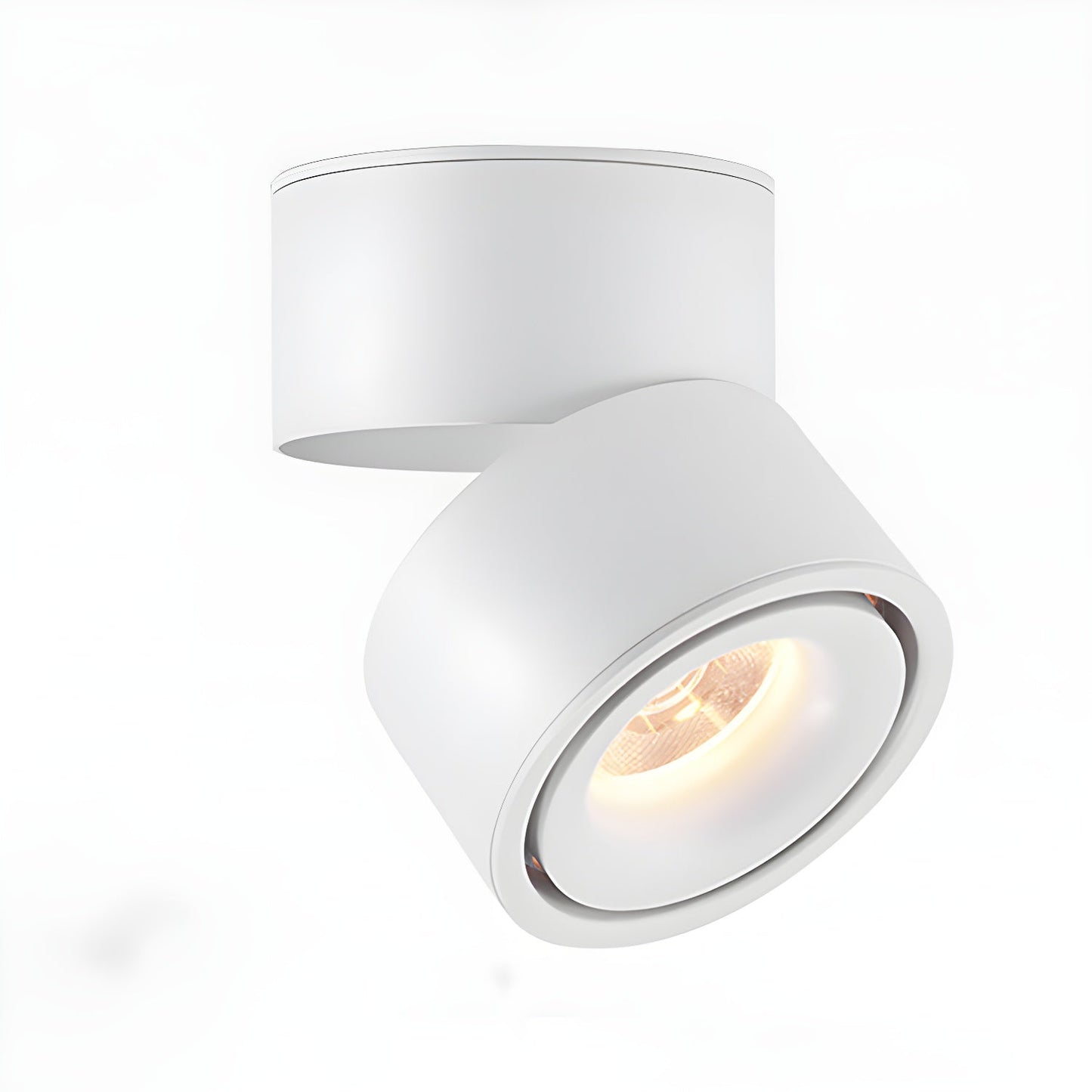 Rotatable Spotlight Modern Metal Ceiling Light