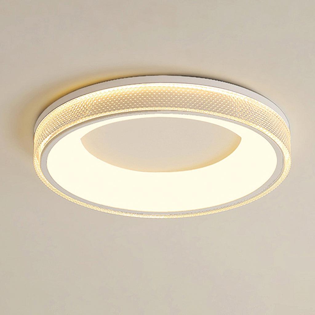 Round Shape Flush Modern Metal Ceiling Light