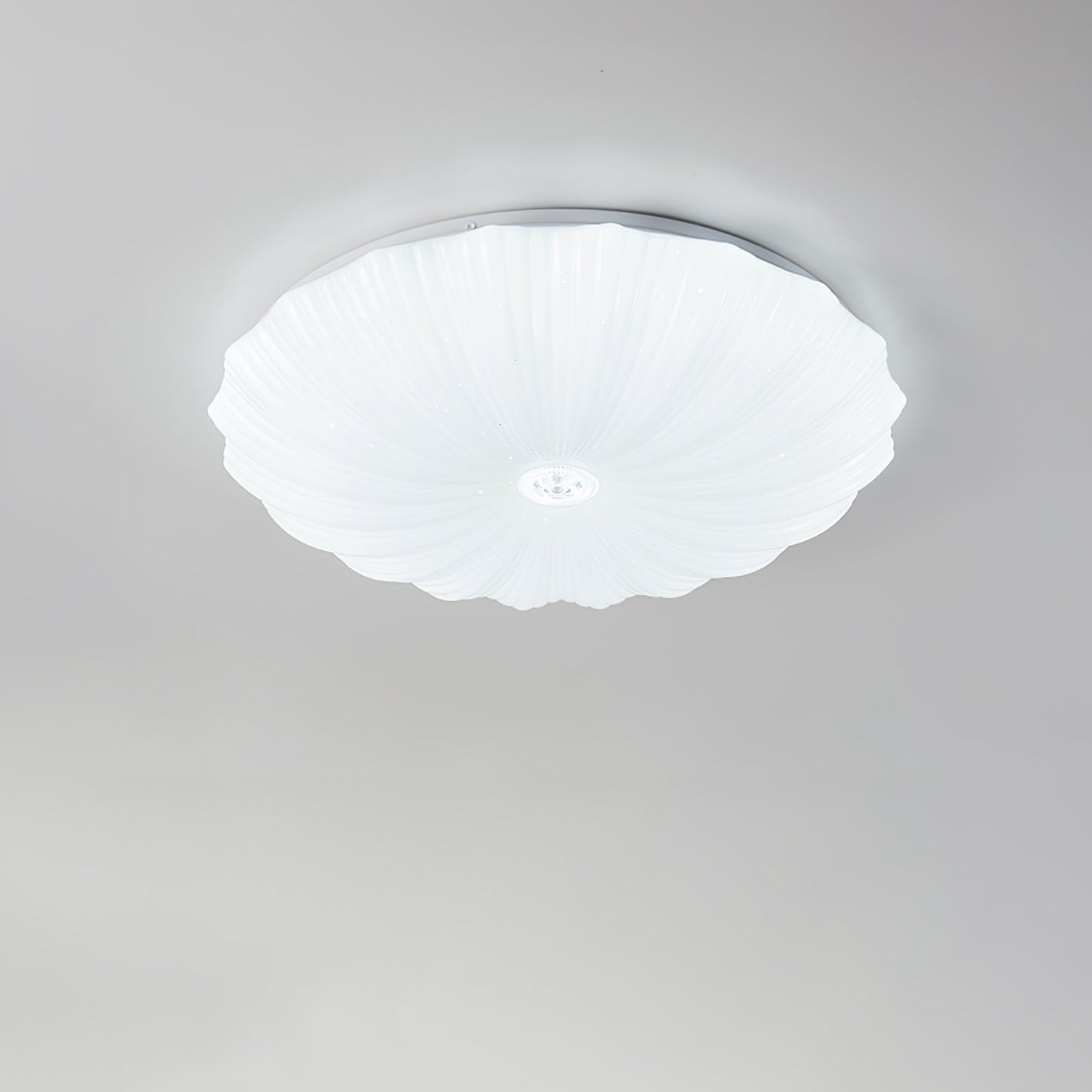 Acrylic Shell Round Minimalist Metal Ceiling Lamp