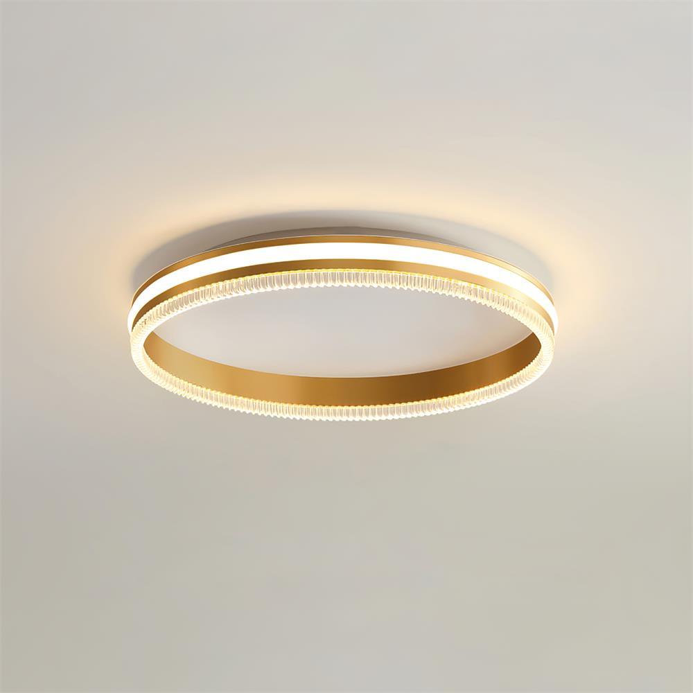 Simple Acrylic Ring Eclectic Metal Ceiling Light