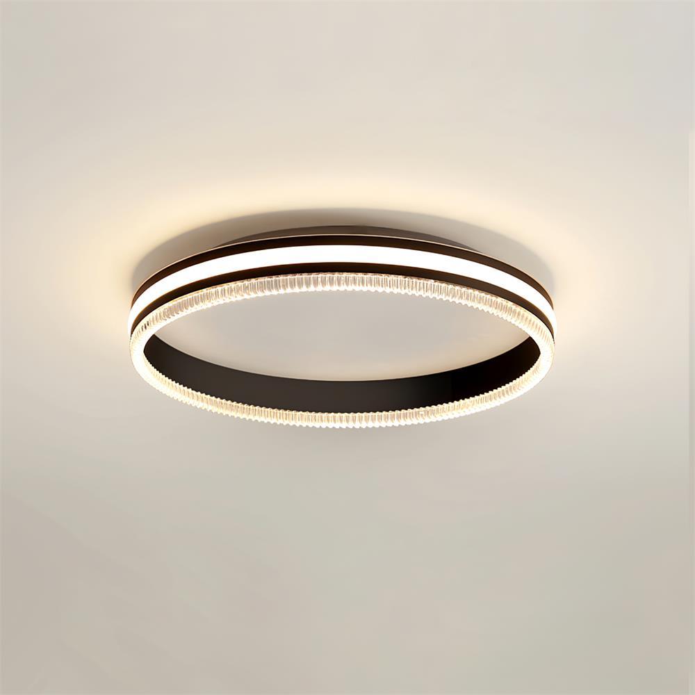 Simple Acrylic Ring Eclectic Metal Ceiling Light