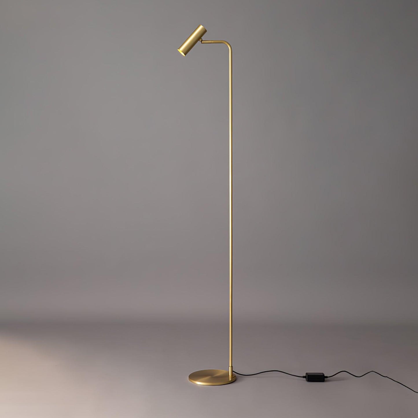 Torris Luxury Brass Floor Lamp