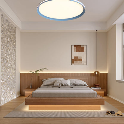 Acrylic Circular LED Modern Metal Ceiling Light