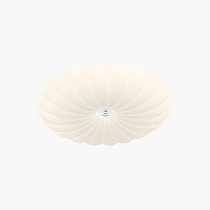 Acrylic Shell Round Minimalist Metal Ceiling Lamp