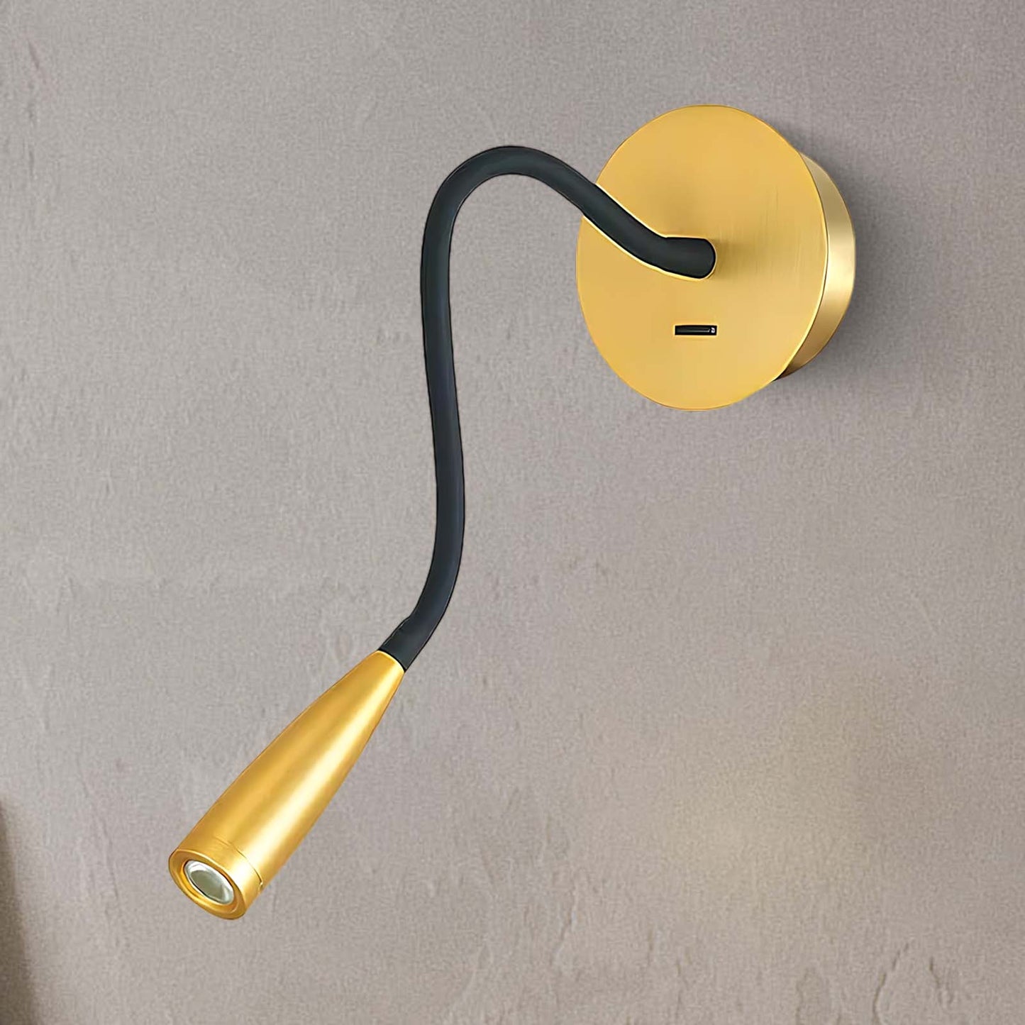 Flexi Hose Eclectic Metal Wall Light