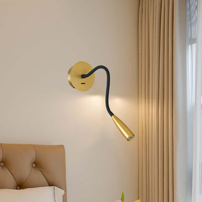 Flexi Hose Eclectic Metal Wall Light