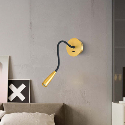 Flexi Hose Eclectic Metal Wall Light