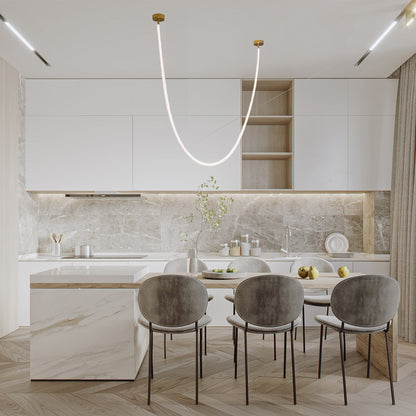 Flexible Curve Modern Metal Pendant Lamp