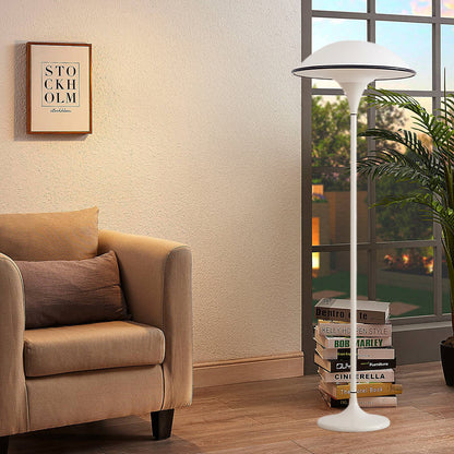 Fontana Minimalist Metal Floor Lamp