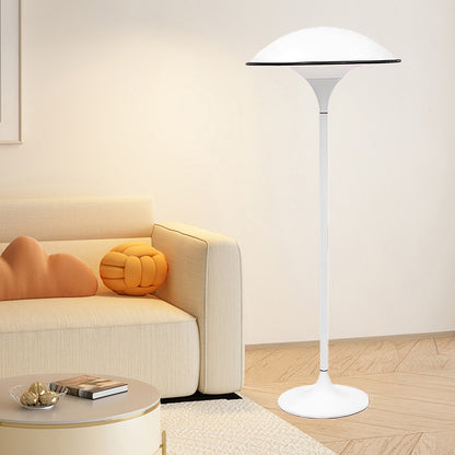 Fontana Minimalist Metal Floor Lamp