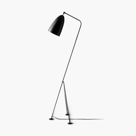 Grasshopper Minimalist Metal Floor Lamp