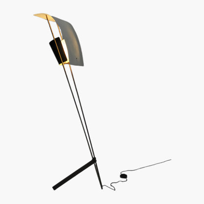 Kite Eclectic Metal Floor Lamp