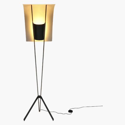 Kite Eclectic Metal Floor Lamp