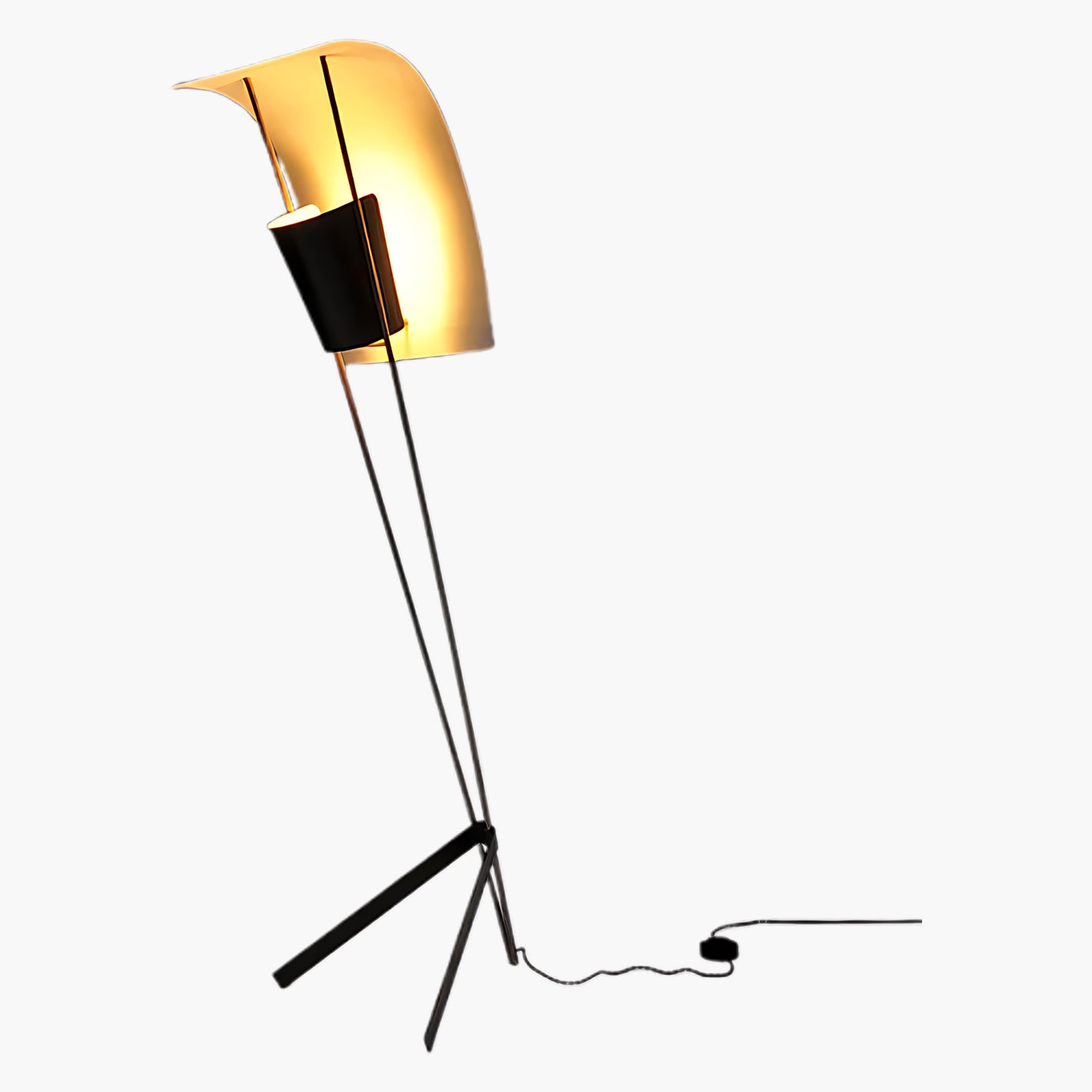 Kite Eclectic Metal Floor Lamp