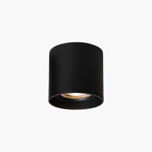 Modupoint Modern Metal Ceiling Light