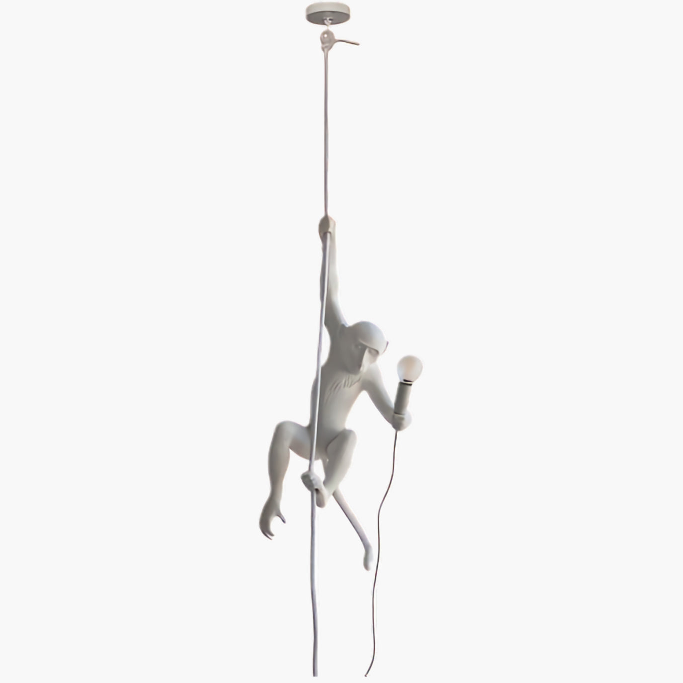 Monkey Eclectic Metal Pendant Lamp