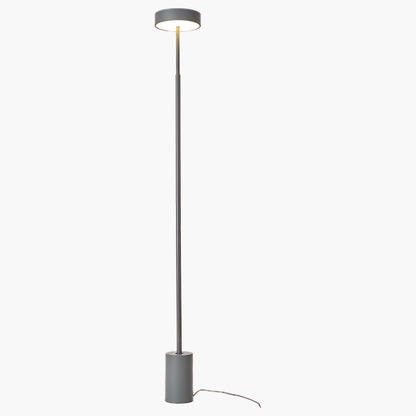 Naya Rotatable Modern Metal Floor Lamp