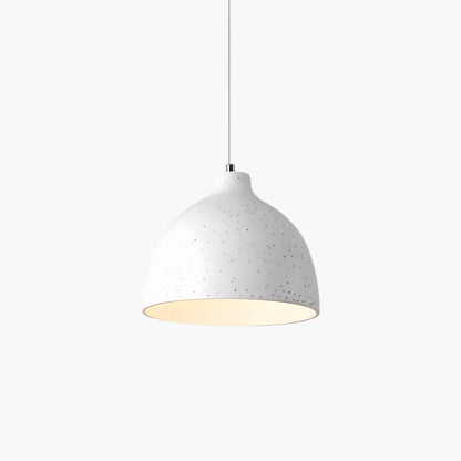 Resin Bowl Modern Metal Pendant Lamp