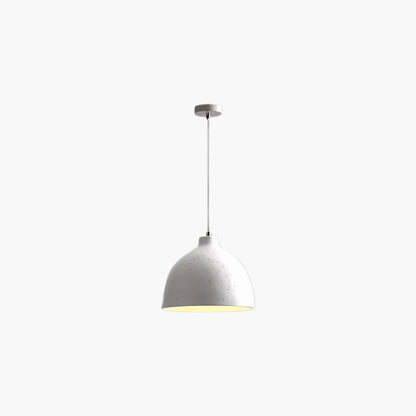 Resin Bowl Modern Metal Pendant Lamp