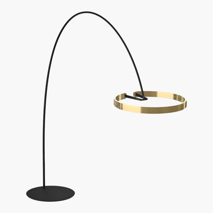 Ring Eclectic Metal Floor Light