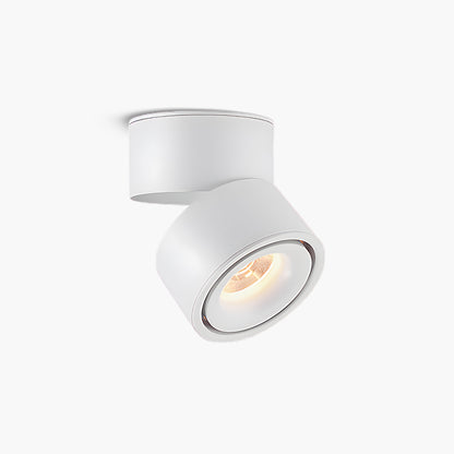 Rotatable Spotlight Modern Metal Ceiling Light