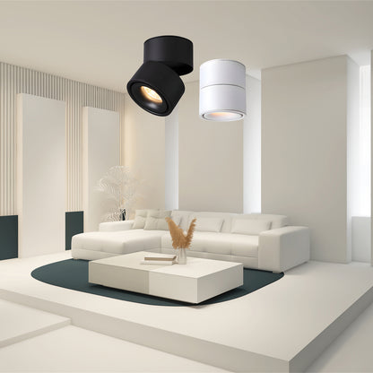 Rotatable Spotlight Modern Metal Ceiling Light