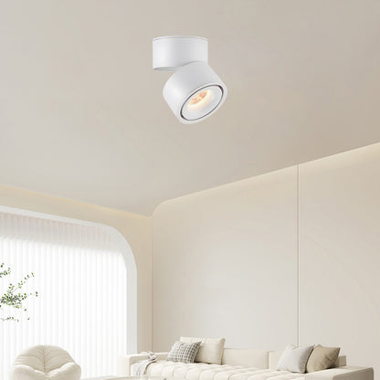 Rotatable Spotlight Modern Metal Ceiling Light