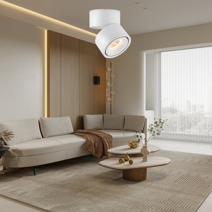 Rotatable Spotlight Modern Metal Ceiling Light