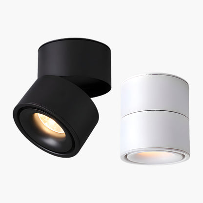 Rotatable Spotlight Modern Metal Ceiling Light