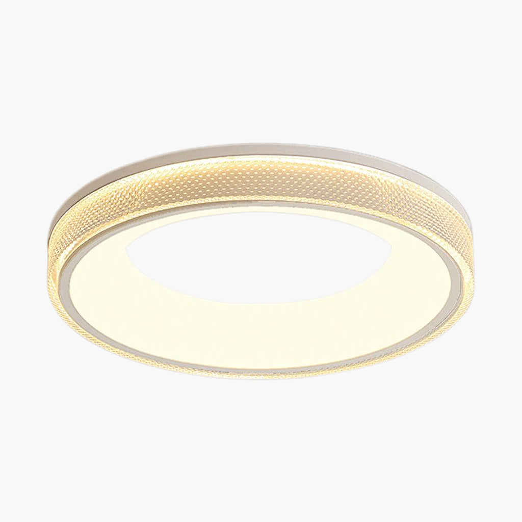 Round Shape Flush Modern Metal Ceiling Light