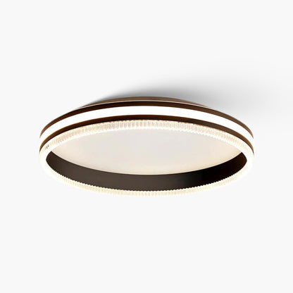 Simple Acrylic Ring Eclectic Metal Ceiling Light