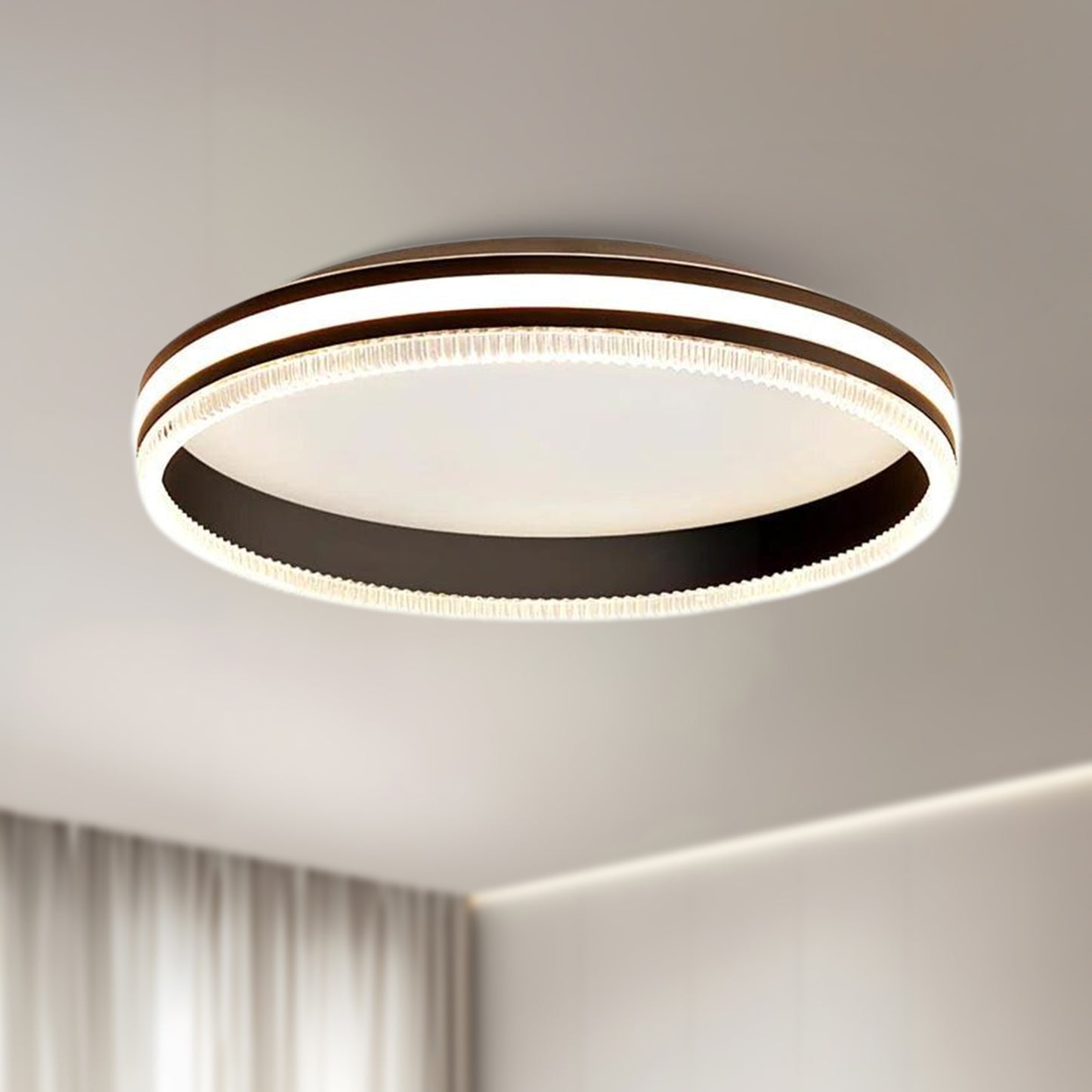 Simple Acrylic Ring Eclectic Metal Ceiling Light